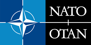 NATO Members Split on How to Upgrade Ukraine’s Status