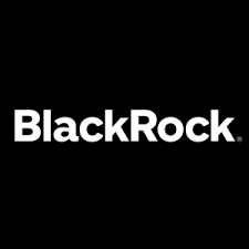 BlackRock’s Fink Questioned Over Growing ESG Pushback