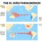 Beware the habitual El Niño hype