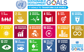 Destroying the Middle Class in Economically Developed Nations is the Goal of the UN’s “Sustainability” Agenda
