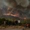 Greece wildfires: 79 people arrested for arson