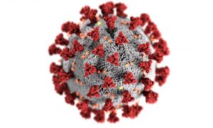 Viral RNA Can Persist for 2 Years After COVID-19: Preprint Study