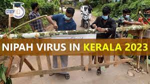A Virus That Has a Death Rate of 40 to 75 Percent Is Infecting and Killing People in India