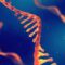 Meat From Animals Vaccinated With mRNA Vaccines May Soon Make Its Way Into the US Food Supply