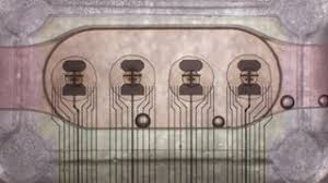 Brain power: Swiss startup powers computers with mini human brains